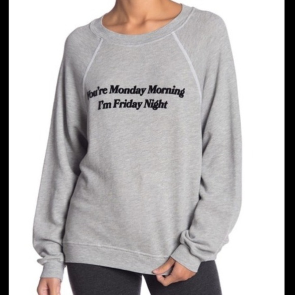 Grey Wildfox sweater